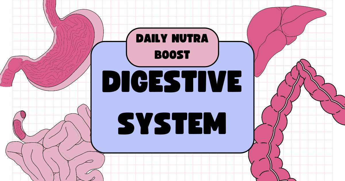 digestive system