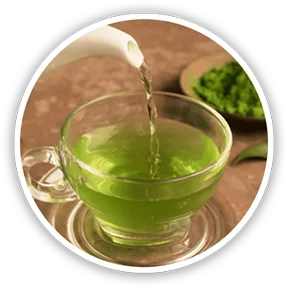 Green Tea Extract