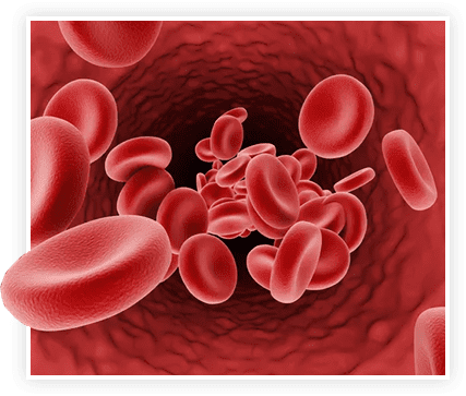 blood flow image