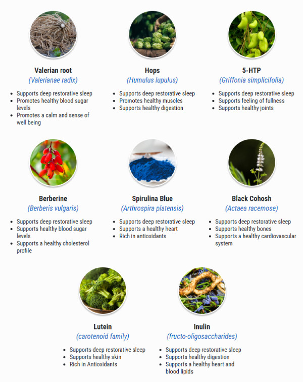 Ingredients of Sumatra Slim Belly Tonic